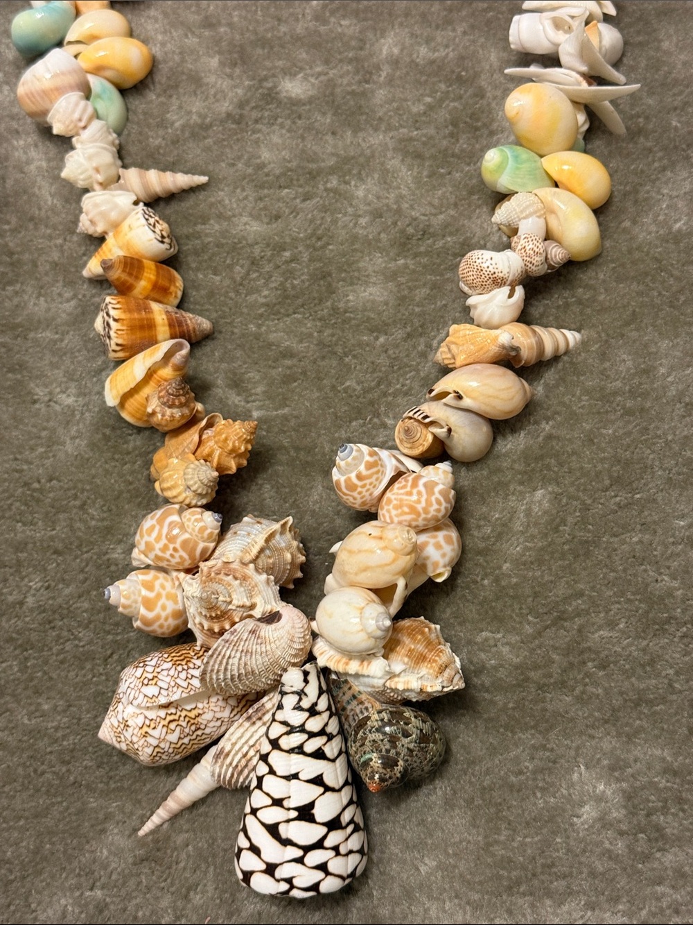 Large Shell Necklace - Picture 6 of 9